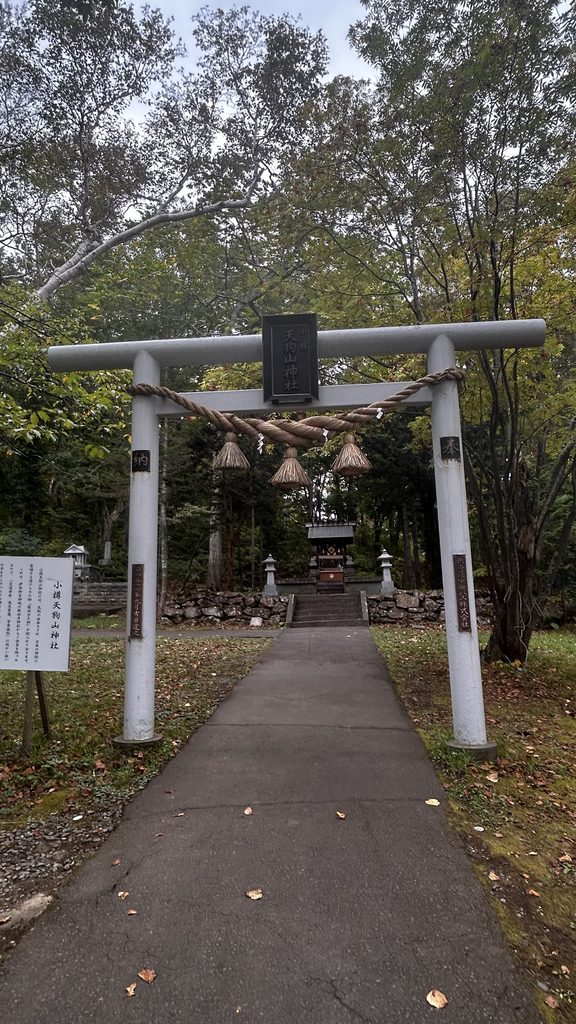 天狗山神社の小さな鳥居と、木立の中の参道
